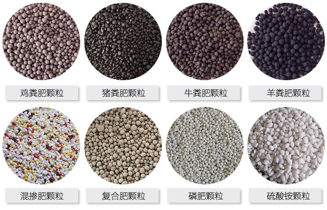 年產1-3萬噸小型有機肥生產線大概要多少錢?(圖2) 有機肥成品顆粒展示