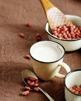 不銹鋼振動(dòng)篩-花生奶過(guò)濾振動(dòng)篩